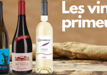 Guide des vins primeur bordeaux