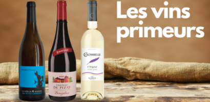 Guide des vins primeur bordeaux