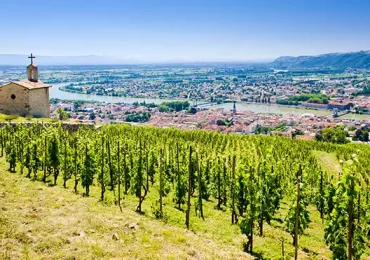 Le vin du Rhône : une culture et une histoire