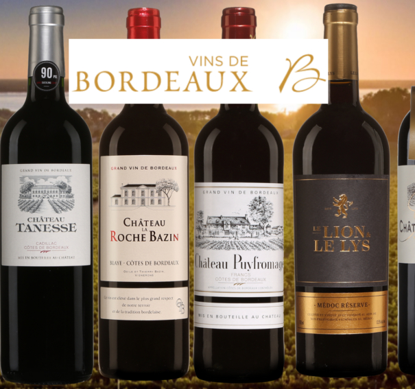 Comprendre et apprécier le vin de Bordeaux
