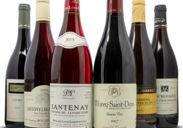 Les vins de Bourgogne : une découverte des terroirs français
