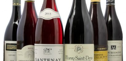 Les vins de Bourgogne : une découverte des terroirs français
