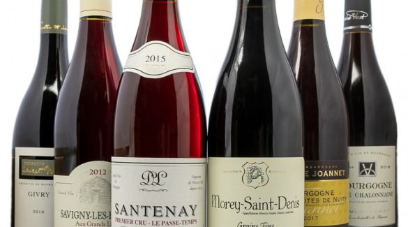 Les vins de Bourgogne : une découverte des terroirs français