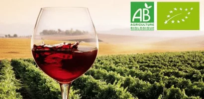 Le vin biologique : une agriculture durable et un produit de qualité