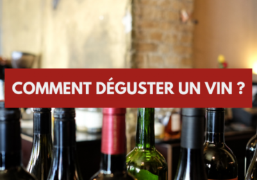 Apprendre le vin et à déguster le vin