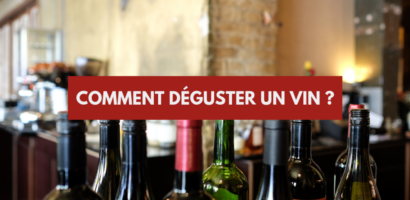 Apprendre le vin et à déguster le vin