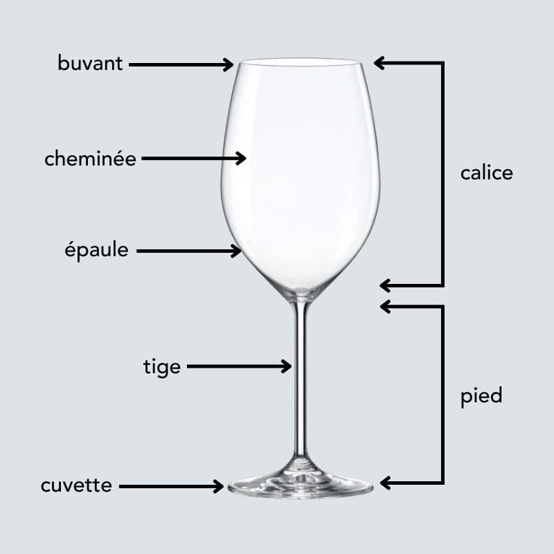 la-morphologie-du-verre-a-vin