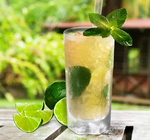 cocktail-mojito