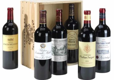 Vins de Bordeaux : un terroir à découvrir