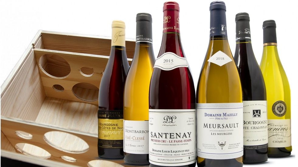 Vins de Bourgogne : les secrets d’une des plus anciennes appellations viticoles du monde