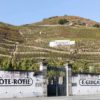 Tout ce que vous devez savoir sur la côte-rôtie, l’un des meilleurs vins du Rhône
