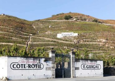 Tout ce que vous devez savoir sur la côte-rôtie, l’un des meilleurs vins du Rhône