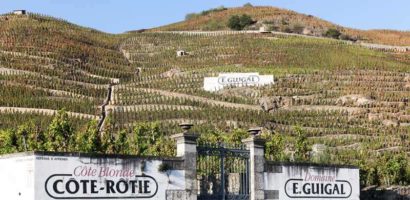 Tout ce que vous devez savoir sur la côte-rôtie, l’un des meilleurs vins du Rhône