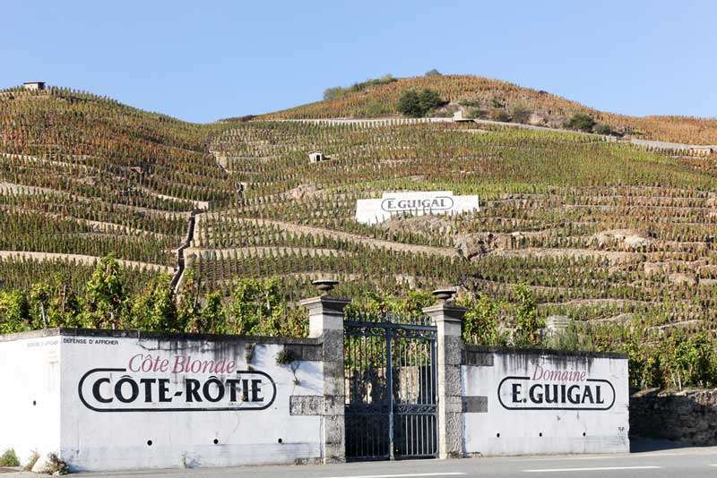 Tout ce que vous devez savoir sur la côte-rôtie, l’un des meilleurs vins du Rhône