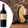 Tout savoir sur l’achat du vin bordeaux