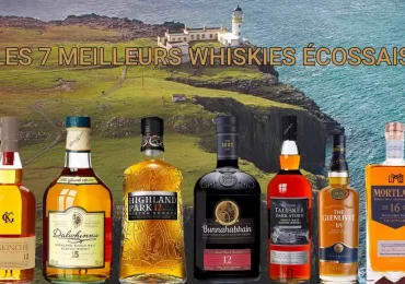 Découvrez le monde des whiskies écossais