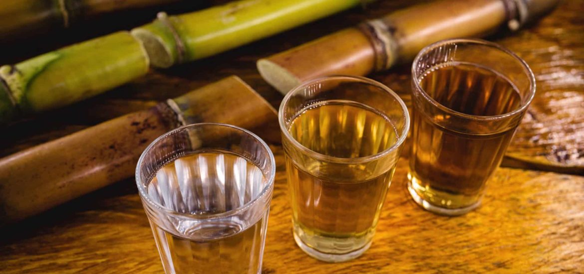 Comprendre le rhum blanc et ambré : les différences