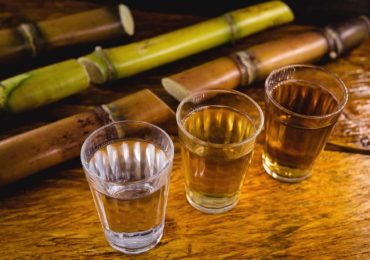 Comprendre le rhum blanc et ambré : les différences