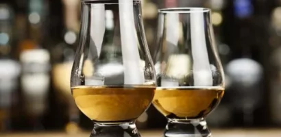 Verres à whisky, le choix idéal pour votre dégustation