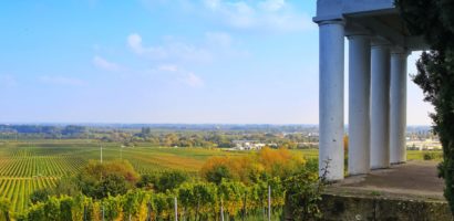 Comment évaluer le potentiel d’investissement et de rentabilité d’un vignoble en Languedoc-Roussillon ?