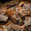 Côtes courtes braisées au vin de Bordeaux