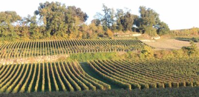 Classement Saint-Émilion : comment s&rsquo;y retrouver entre Grand Cru et Premier Grand Cru Classé ?