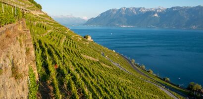 Apremont : tout savoir sur ce vin blanc emblématique de Savoie