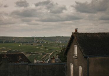Sancerre blanc : notre guide de dégustation et d&rsquo;accords mets-vins