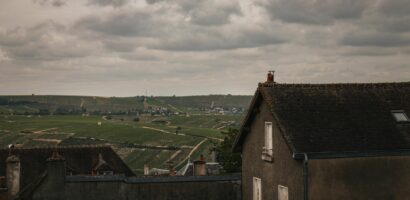 Sancerre blanc : notre guide de dégustation et d&rsquo;accords mets-vins