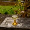 Vin blanc sec : notre guide pour bien le choisir et le déguster