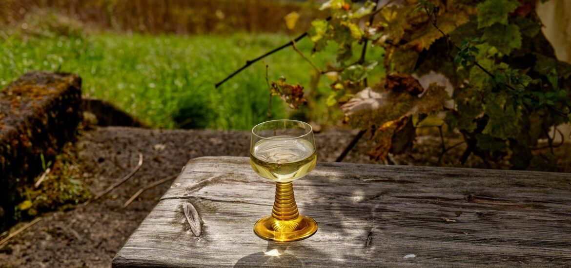 Vin blanc sec : notre guide pour bien le choisir et le déguster