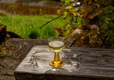 Vin blanc sec : notre guide pour bien le choisir et le déguster