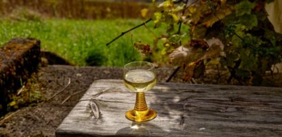 Vin blanc sec : notre guide pour bien le choisir et le déguster