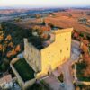 Châteauneuf-du-Pape : notre guide du grand vin du Rhône