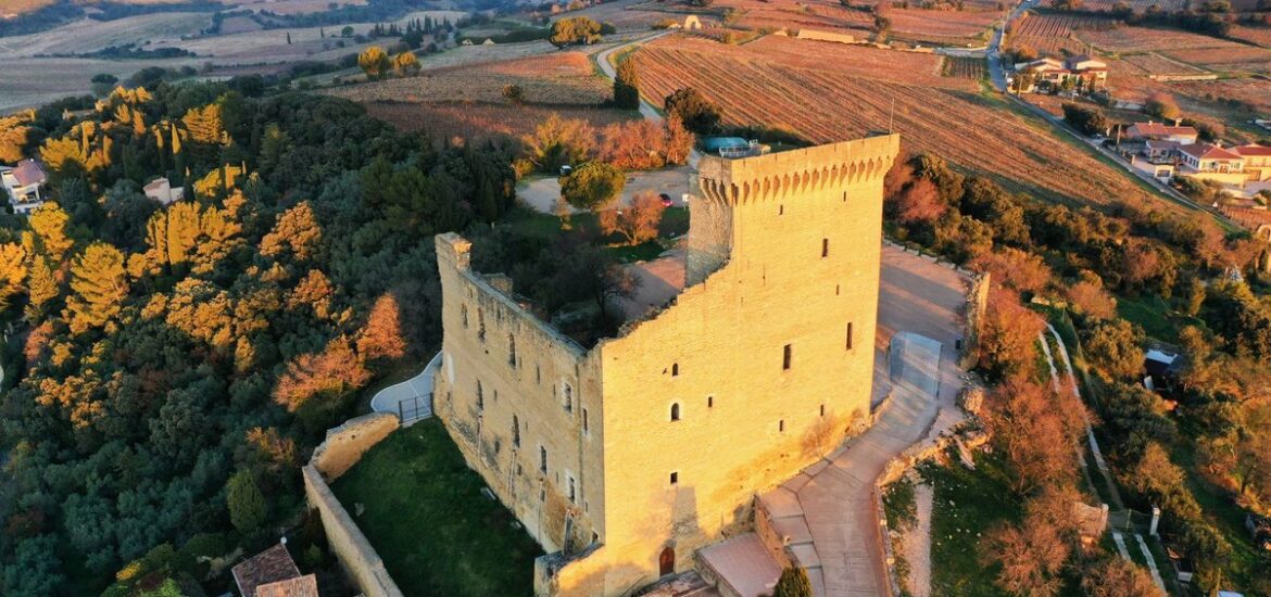 Châteauneuf-du-Pape : notre guide du grand vin du Rhône