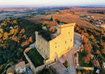Châteauneuf-du-Pape : notre guide du grand vin du Rhône