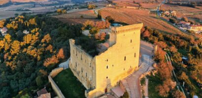 Châteauneuf-du-Pape : notre guide du grand vin du Rhône