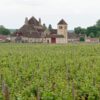 Route des vins de Bourgogne : notre itineraire pour decouvrir les grands crus et villages