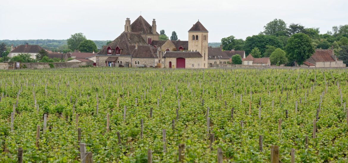 Route des vins de Bourgogne : notre itineraire pour decouvrir les grands crus et villages
