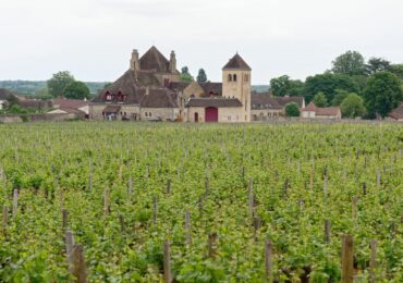 Route des vins de Bourgogne : notre itineraire pour decouvrir les grands crus et villages