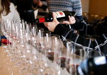 Visiter un domaine viticole : notre guide complet pour une dégustation réussie