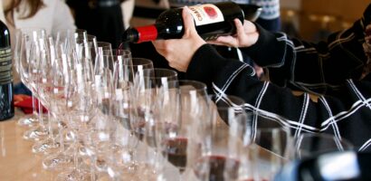 Visiter un domaine viticole : notre guide complet pour une dégustation réussie