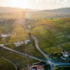 Beaujolais Nouveau 2026 : date de sortie et dégustation