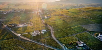 Beaujolais Nouveau 2026 : date de sortie et dégustation