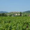 Chablis : notre guide du grand vin blanc de Bourgogne