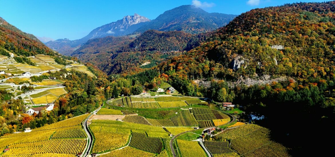 Œnotourisme en Savoie : dormir en cabane ou en yourte après la dégustation