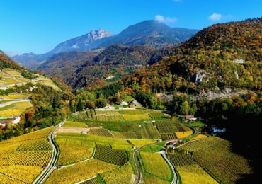 Œnotourisme en Savoie : dormir en cabane ou en yourte après la dégustation
