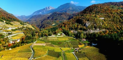 Œnotourisme en Savoie : dormir en cabane ou en yourte après la dégustation